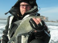 IMG_5401.jpg
