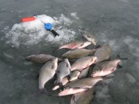 IMG_5292.jpg