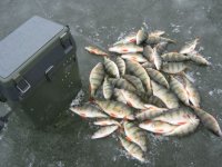 IMG_5340.jpg