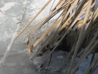 IMG_5369.jpg