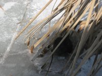 IMG_5370.jpg