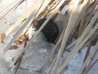 IMG_5374.jpg