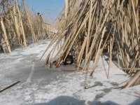 IMG_5379.jpg