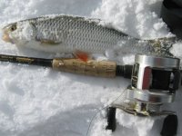 IMG_5439.jpg