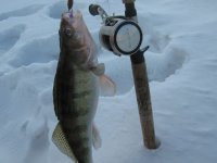 IMG_5456.jpg