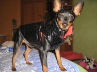 IMG_0657.jpg