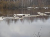 DSC00038.jpg
