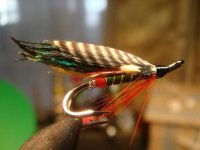 павлин в крыле.jpg