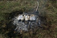 8.в фольге.jpg