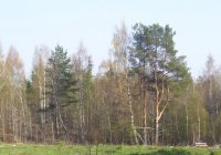 100_004.jpg