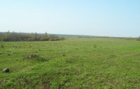 100_007.jpg