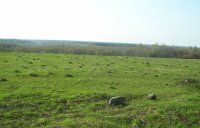 110_006.jpg