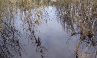 110_009.jpg