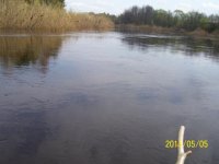 100_011.jpg