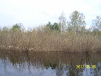 100_012.jpg
