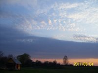 100_015.jpg