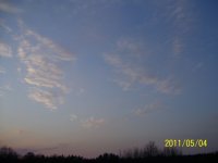 100_016.jpg