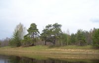 100_017.jpg