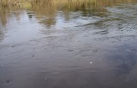 100_019.jpg