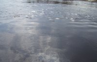 100_020.jpg