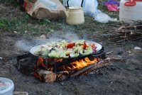 DSC_0534.jpg