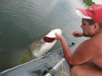 IMG_5631.JPG