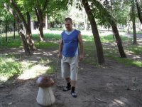 SAM_0168.jpg