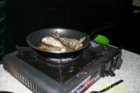 100_0870.jpg