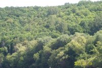 100_0897.jpg