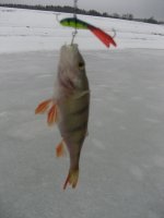IMG_4739.jpg