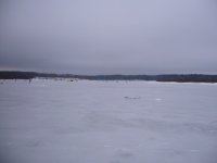 P1020315.jpg