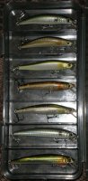 MINNOW.jpg