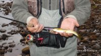 myfishing.jpg