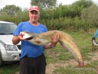 IMG_3644.jpg