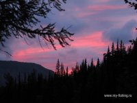 IMG_0202.JPG