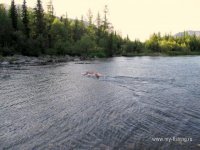 IMG_0248.JPG