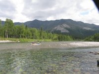 IMG_0284.JPG