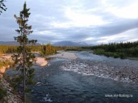IMG_0433.JPG