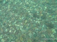 IMG_0537.JPG