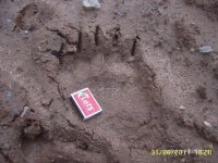 SUC52800.JPG