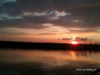 IMG_0262.JPG