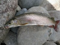 IMG_0281.JPG