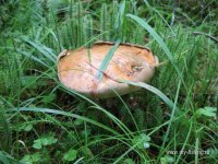 IMG_0291.JPG