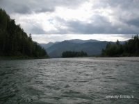 IMG_0422.JPG