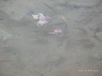 IMG_0472.JPG
