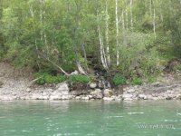 IMG_0529.JPG