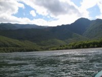IMG_0532.JPG