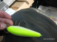 IMG_6075.JPG