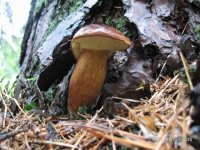 IMG_0592.JPG
