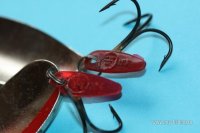 IMG_4720.JPG